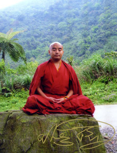 rinpoche-signed-palmtrees