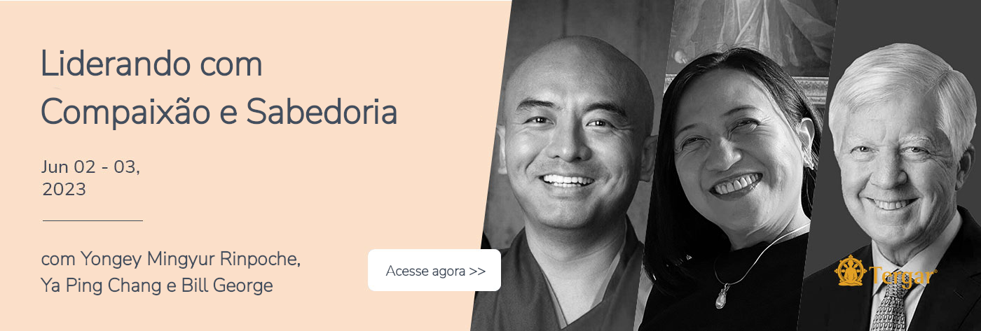 Workshop Liderando com Compaixão e Sabedoria (on-line)