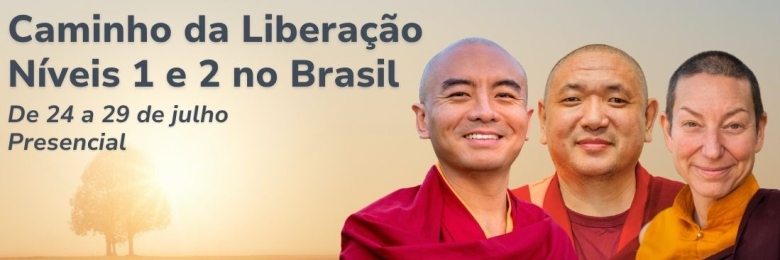 Caminho da Liberação Níveis 1 e 2 no Brasil