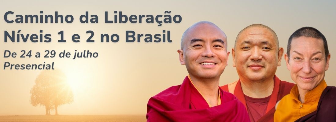 Caminho da Liberação Níveis 1 e 2 no Brasil